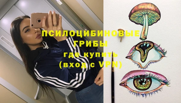 стаф Алексеевка