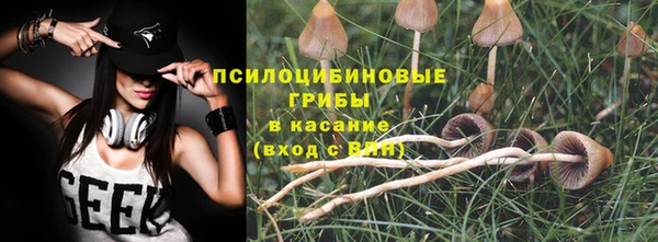 стаф Алексеевка