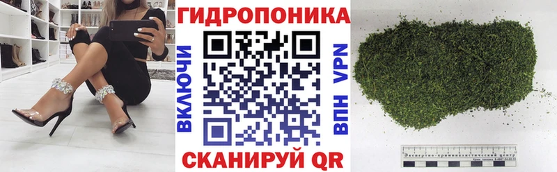 mega ТОР  Жуковский  Каннабис сатива  где купить  